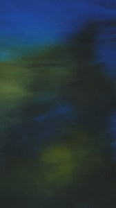 Free Reflection Videos: 4K & HD | No Watermark | Download Now