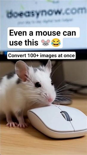 Real Mouse. Real Magic. 🐭💻 | DoEasyNow.com
