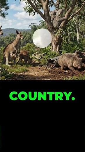 Why Australia Has the Most Unique Wildlife on Earth #documentary #worldhistory #history