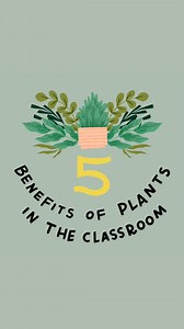 Plant-lovers, rejoice! 🪴🌵 Studies show that having plants in the classroom comes with a host of benefits for the environment—and for learners. | Edutopia