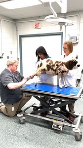 11K views · 257 reactions | This week is...