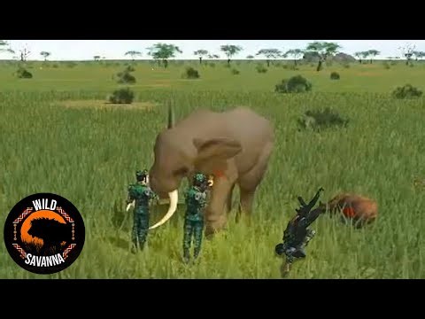 African Poaching Crisis | ROBLOX Wild Savannah