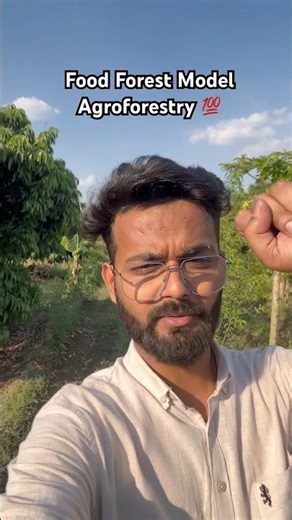 Beautiful Food Fruit Forest Model All Year Fruiting Agroforestry Model Farming 😍