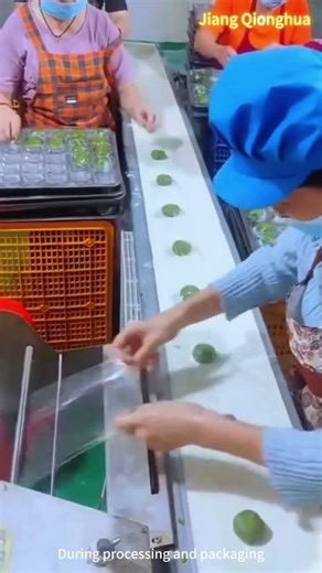 During processing and packaging