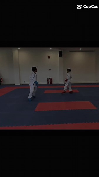 #CapCut #karate #gold #bsrc #tournament