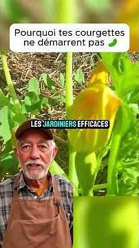 Pourquoi tes courgettes ne démarrent pas 🥒