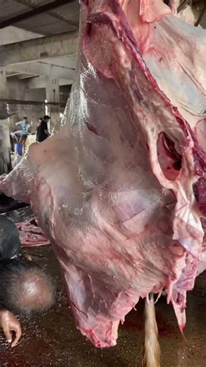 Giant Buffalo Meat Processing Factory 😳#shortsfeed #buffalo #meatmarket