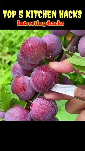 Top 5 intresting Amazing kitchen Hacks 😱| Random Facts #facts #shorts #ytshort