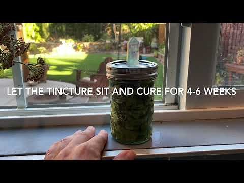 Making a Botanical Tincture with Borage