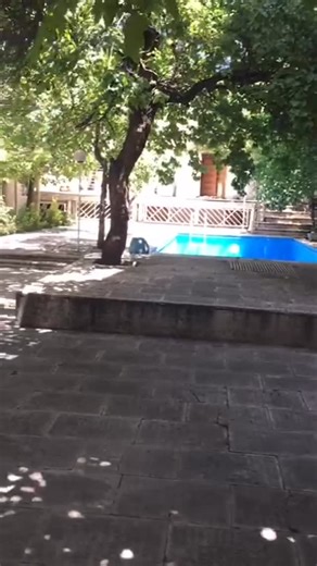 ‎ایمان نیکزاد| خونه کلنگی‎ on Instagram‎: "🏡 اجاره خانه قدیمی کامرانیه ▪️ ۵۰۰ متر زمین ▪️ ۳۰۰ متر بنای طبقه اول ۳ اتاقه ▪️ سوییت ۸۰ متری در نیم‌طبقه پایین ۱ خوابه استخر فعال سرایداری در جلو درب وردی مناسب سکونت یا کاربری‌های مجاز دسترسی عالی در فرعی دنج و با امنیت بالا 📌 جهت استعلام قیمت به‌روز و شرایط اجاره: دایرکت پیام دهید 📩 یا با شماره موبایل درج‌شده تماس بگیرید ☎09125206966 . . @khonehkolangi @khonehkolangi ____________________ . . . . . . . . . #اجاره #اجاره_خانه #اجاره_ملک #خانه_ویلایی