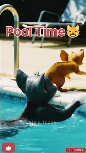 Tom & Jerry Pool Party 🏊‍♂️😹 | Cartoon Short | Melo Toons