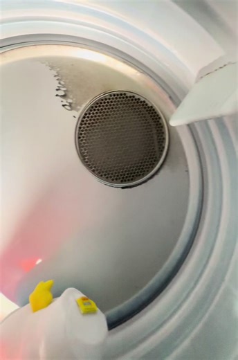 Frylock Stuck in Dryer: Aqua Teen Hunger Force Mishap