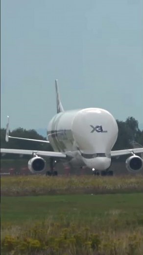 Airbus Beluga XL🐳