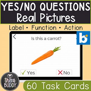 Yes No Questions Real Pictures BOOM Cards Speech Therapy Digital Resource