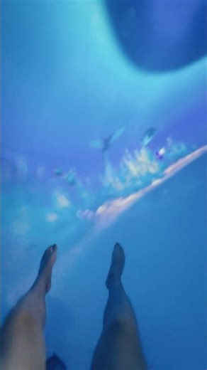 Scary Bowl Slide AQUATICA #fypシ #shorts #waterslide