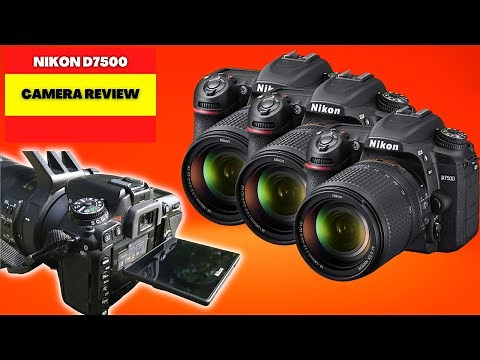 NIKON D7500 CAMERA REVIEW [2023] BEST PROFESSIONAL CAMERA FOR BEGINNERS