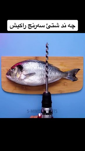 Creative Close-Up Crafts for Everyday Objects