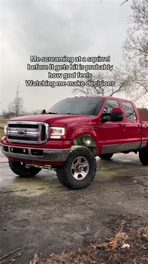 Screaming at Squirrels: A Relatable Moment