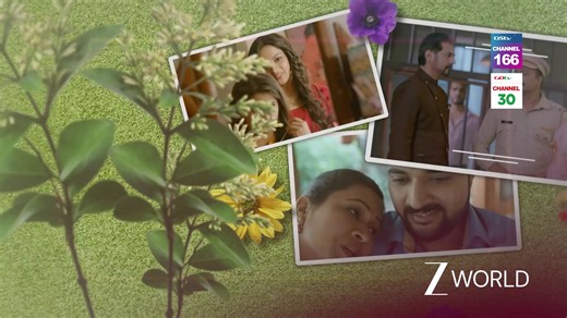 Love stories, family moments, and binge-worthy shows? Yes please! Tune in to #ZeeWorld everyday, 7 days a week, 365 days a year only on #DStv166 #GOtv30 #LivingEveryMoment | Zee World Africa