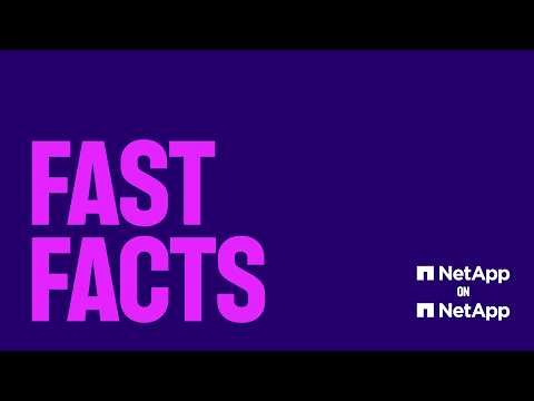 NetApp IT Fast Facts: AI Data Engine Protects Raw Data