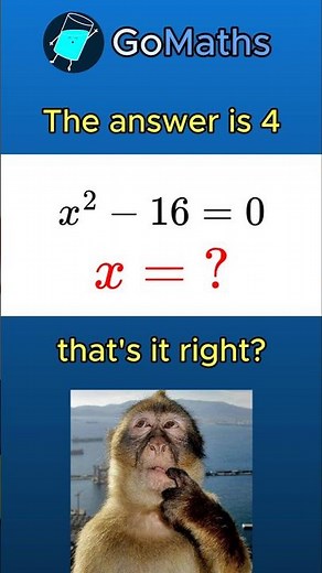 Can you solve this question?