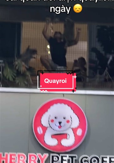 Khám Phá Cherry Pet Coffee Tại UEH Cơ Sở Q10