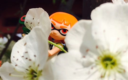 My Splatoon Amiibo