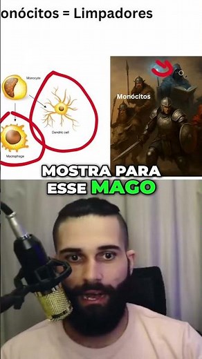 Sistema imune e monócitos
