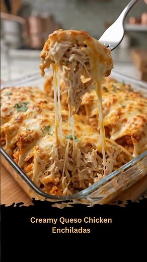 Creamy Queso Chicken Enchiladas