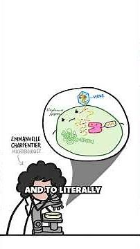 How CRISPR Gene Editing Was Developed