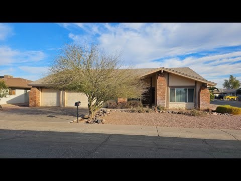 Termites Took Over This Arizona House