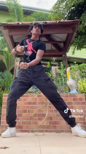 Explore Z Tracker for Enhanced Tracking