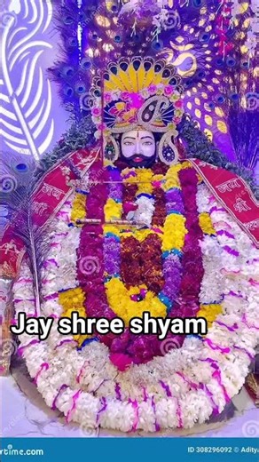 #jay shree shyam#short