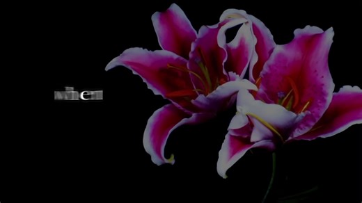 Lost on You Lyrics by LP: A Deep Dive