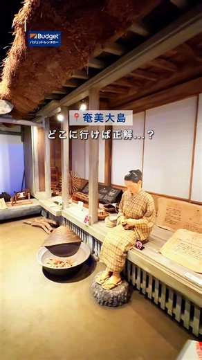 ＼ 奄美の島民オススメスポット3選🌴／#バジェットレンタカー#奄美大島#旅行#海#観光