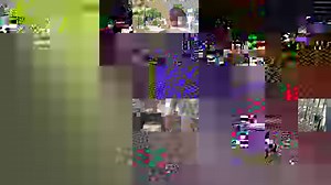 45K views · 3.3K reactions | It's move-in day for the flamingos! | Como Park Zoo & Conservatory | Facebook