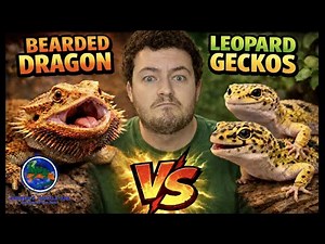Bearded Dragon vs Leopard Gecko | Best Pet Lizard?