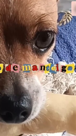 aquele pão quentinho 😛#short