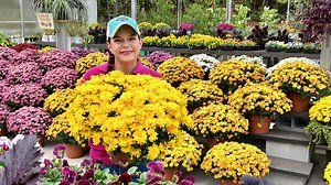 392 reactions · 11 shares | Welcome to our weekly nursery tour Part 1...