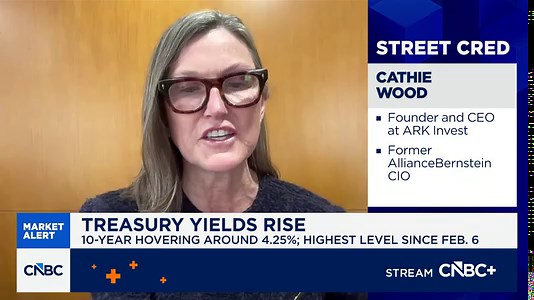 Cathie Wood: Good time to pick up on stocks that may be more volatile