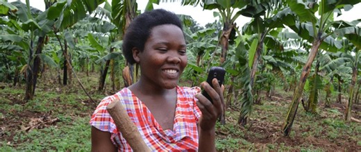 2015 Winners of UN Climate Solutions Awards Announced - United Nations Sustainable Development