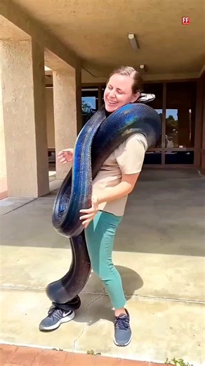 What happens if you get bitten by a poisonous snake?#shorts