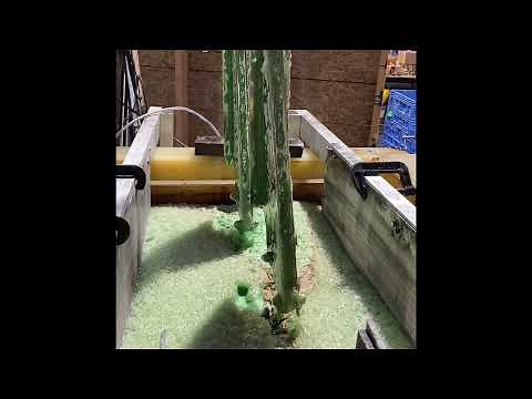 Electro-polishing Stainless Steel