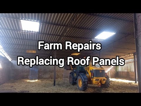 Barn Roof Repair- Replacing Light Panels | Repairing the Cattle Shed Roof | Farm Repairs #farmlife