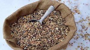 Feed sacks can be money bags—even if they’re filled with chicken feed. Earn an average of $200 a day, full benefits, and daily home time on this local feed haul in Marshville, NC. Learn more below. https://bit.ly/2Qoi9WQ | JBS Carriers