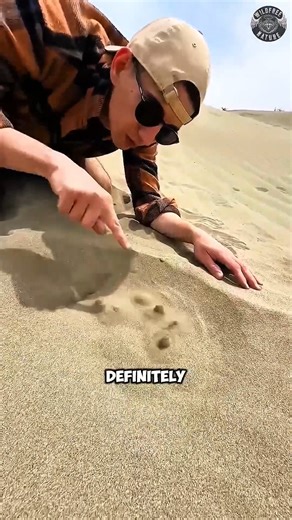 The Hidden Trap Behind Sand Bubbles #shorts