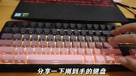 前行者【国补立省15%】X87Pro_Ultra无线机械键盘有线蓝牙三模gasket客制化游戏电竞办公专用侧刻笔记本 黑莓粉侧刻Pro-凯华黑马轴-1万mAh