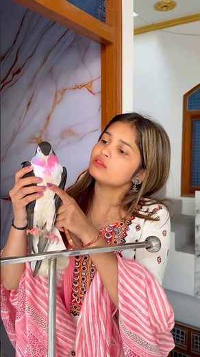 😊 होशियार कबूतर❤️ #kabutar #video #training #video 👌❤️#dosti #kabutar #video #training #dosti