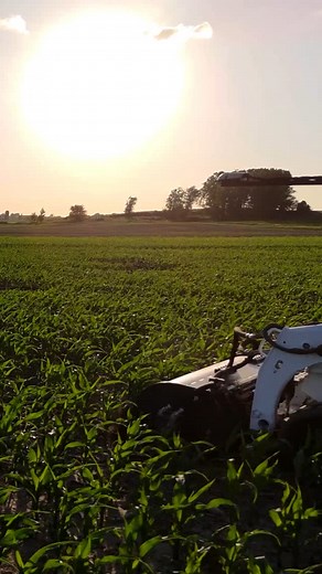 🌱☀️ | Precision Mazes