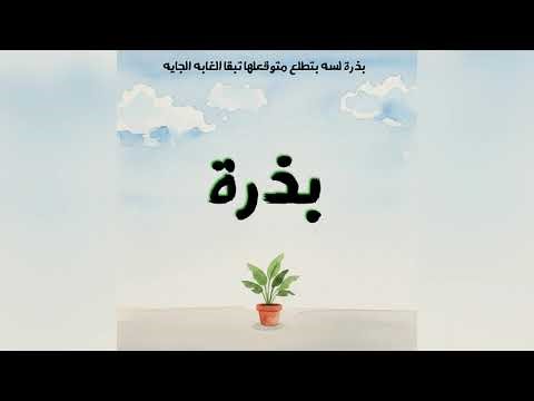 دا بيمبو - بذرة | Da Bimbo - Bezra (Official Audio)